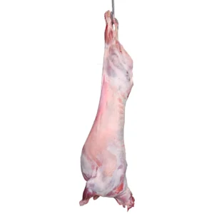 طلي كروز أسترالي مبرد